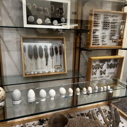 Lake Tahoe Community College Library - Animal and insect specimens
