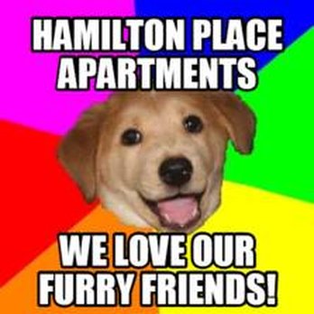 Hamilton Place Aparments - Apartments Near Me - Sun Prairie, Wisconsin Hamilton Place Aparments - Apartments Near Me - Sun Prairie, Wisconsin