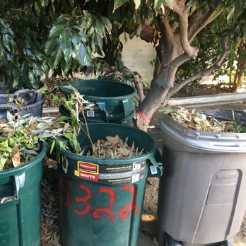 SGV Gardener - Plenty of trash cans to use, behind three in front are 7 empty cans - Gardeners Near Me SGV Gardener - Plenty of trash cans to use, behind three in front are 7 empty cans - Gardeners Near Me