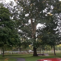 Buchmiller Park - Tennis courts