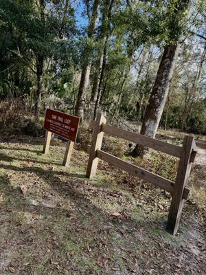 Manatee Springs by null