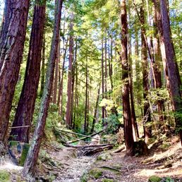So many hidden views like this one! So many hidden views like this one!