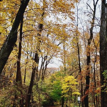 Tallman Mountain State Park - October 31, 2022 - Parks Near Me - Sparkill, New York Tallman Mountain State Park - October 31, 2022 - Parks Near Me - Sparkill, New York