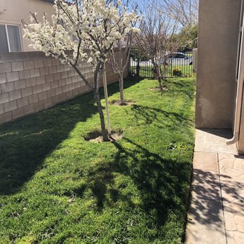 Advantage Landscapes - Landscaping Near Me