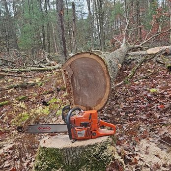AB Logging - Tree Services Near Me AB Logging - Tree Services Near Me