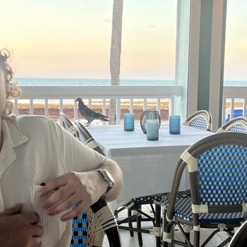 Southernmost Beach Cafe - Bird on "clean table" - Venues & Event Spaces Near Me - Key West, Florida