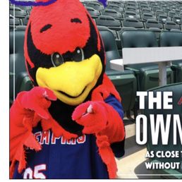 the Redbirds' mascot