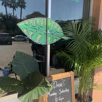 Lush Leaves - Jewelry Near Me - Jacksonville, Florida Lush Leaves - Jewelry Near Me - Jacksonville, Florida