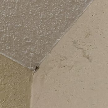 Ramada By Wyndham - Flagstaff East - More spiders - Hotels Near Me - Flagstaff, Arizona