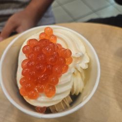 JanYo Frozen Yogurt