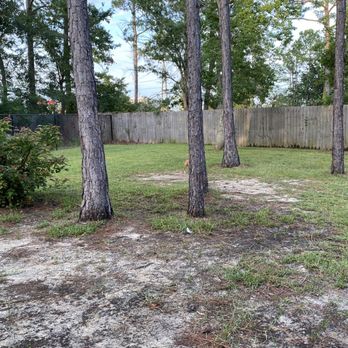 Bay Palms RV Resort - Dog park - RV Parks Near Me - Coden, Alabama