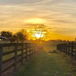 Mending Fences