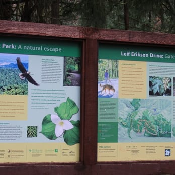 Forest Park - Parks Near Me - Portland, Oregon