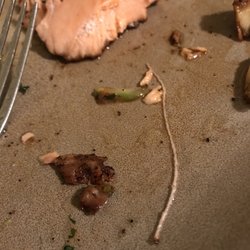 Safeway - Pretty neat worms in the "fresh" seafood section