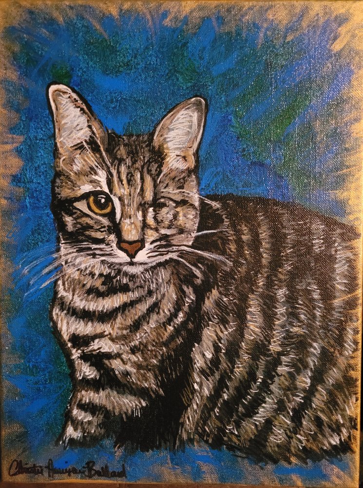 Social spots from Schizophrenic Creations Art Studio