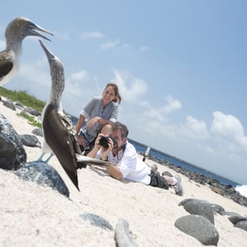 G Adventures - Galapagos Islands, Ecuador - Travel Services Near Me - Toronto, Ontario