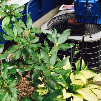 Technique Heating & Cooling - Hands On~ [While David Is Working His Magic On Our Central Unit] - Heating & Air Conditioning/HVAC Near Me - White Plains, New York