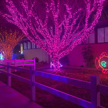 Snow n Glow - Ventura - Underwater and the trees look like coral so adorable - Kids Activities Near Me - Ventura, California