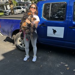 Honey Dog Transport - Local Transport