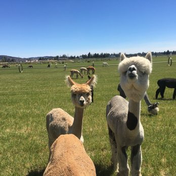 Crescent Moon Ranch - Ranches Near Me - Terrebonne, Oregon