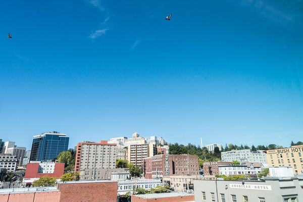 Publix Apartments by null