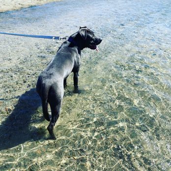 Mobile Pet Cremations - Pet Cremation Services Near Me Mobile Pet Cremations - Pet Cremation Services Near Me