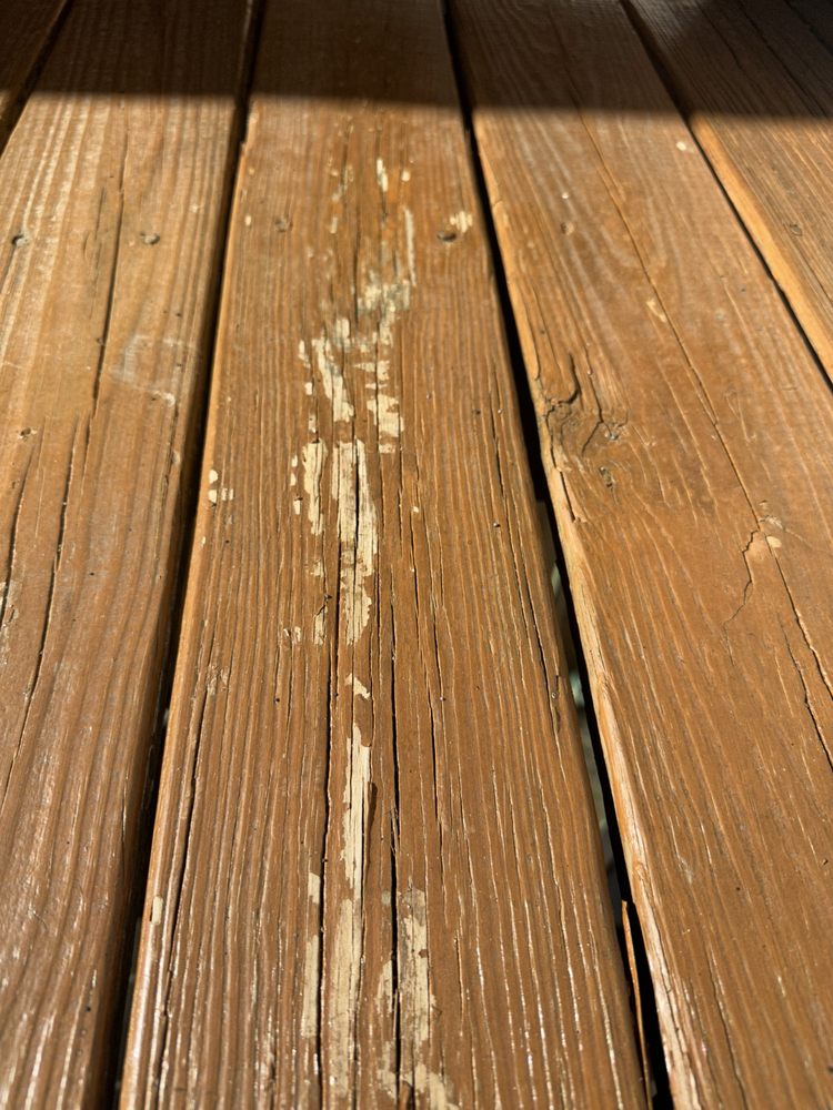 Slide of Freeland Painting