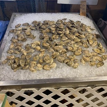 Beth's Farm Market - Oysters, at Beth's Farm Market in Warren, ME. - Farmers Market Near Me - Warren, Maine Beth's Farm Market - Oysters, at Beth's Farm Market in Warren, ME. - Farmers Market Near Me - Warren, Maine
