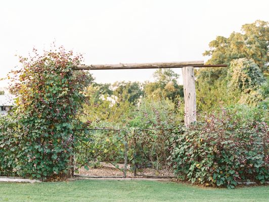 Blackwood Educational Land Institute by null