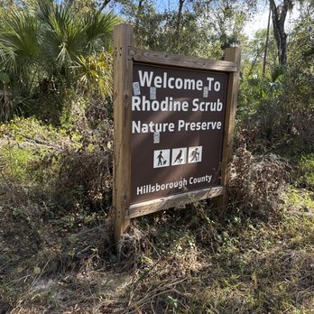 Rhodine Scrub Nature Preserve - Hiking Near Me - Riverview, Florida Rhodine Scrub Nature Preserve - Hiking Near Me - Riverview, Florida