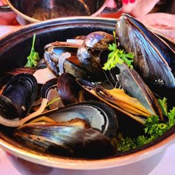 Brasserie Le Bouchon Restaurants - The Mussels