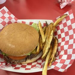 David's Burgers - The only 14 fries I received.