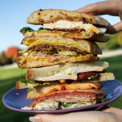 Calypso Sandwich Shop
