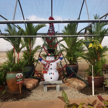 Mari's Gardens - MERRY CHRISTMAS!! - Nurseries & Gardening Near Me - Mililani, Hawaii