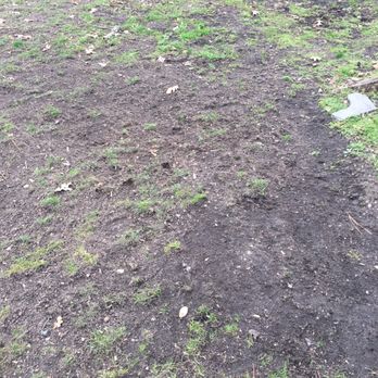 TruGreen Lawn Care - Stay away from this company - Lawn Services Near Me - Runnemede, New Jersey TruGreen Lawn Care - Stay away from this company - Lawn Services Near Me - Runnemede, New Jersey