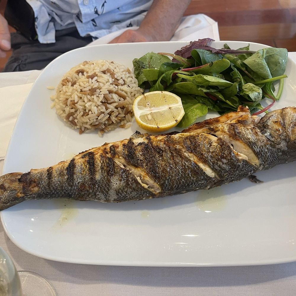 Zaytin Turkish Cuisine - Grilled whole branzino served with rice and mixed green salad. - Turkish Near Me - Warren, New Jersey