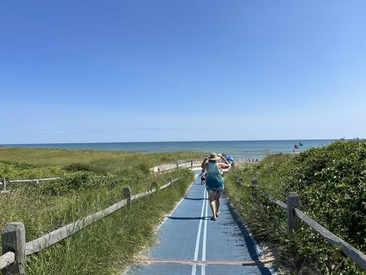 Cape Cod National Seashore by null