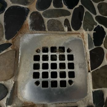 Taylor Sweeps Cleaning Service - Pubes in the drain still - Office Cleaning Near Me