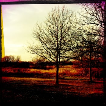 Paul Douglas Forest Preserve - Looking out from parking lot. - Hiking Near Me - Hoffman Estates, Illinois