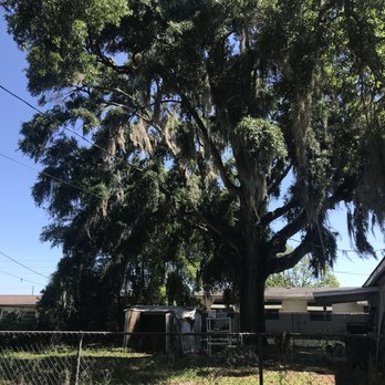 Climb High Tree Care - Tree Services Near Me - Land O Lakes, Florida
