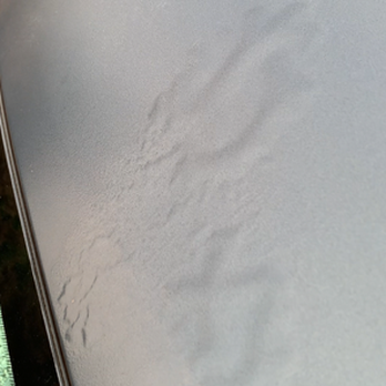 Wimberley Auto Spa - June 16, 2024 - Auto Detailing Near Me - Wimberley, Texas