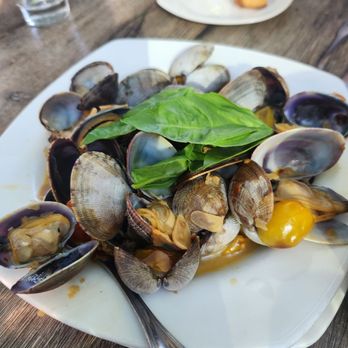 Taylor Shellfish Oyster Bar - Seafood Near Me - Seattle, Washington Taylor Shellfish Oyster Bar - Seafood Near Me - Seattle, Washington