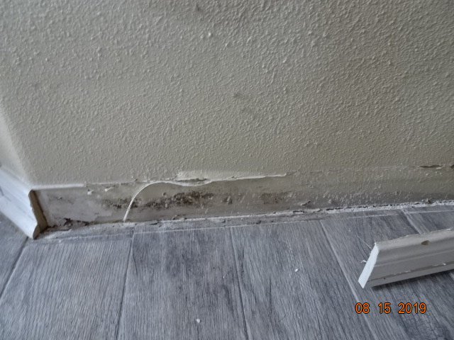 Texas Gulf Coast Testing - mold inspector in Hitchcock, TX