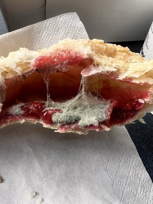 The Mayflower Bakery (La Flor De Mayo Bakery) by null