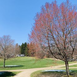 Hemlock Lake Campground - So much nature and 6 acres of land to explore here.