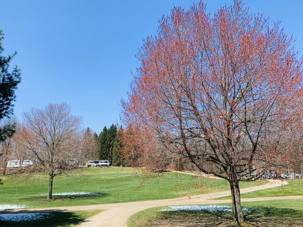 HEMLOCK LAKE CAMPGROUND Updated August 2024 50821 Maple Rd