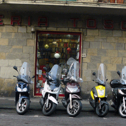 Libreria Toscana