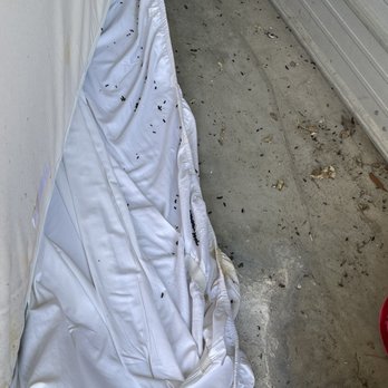 SmartStop Self Storage - Rat feces on the floor. - Self Storage Near Me - Myrtle Beach, South Carolina SmartStop Self Storage - Rat feces on the floor. - Self Storage Near Me - Myrtle Beach, South Carolina
