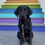 Photo of Riverbend Veterinary Care