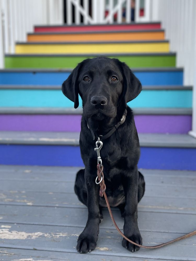 RIVERBEND VETERINARY CARE Updated July 2024 11 Photos 3258 NE